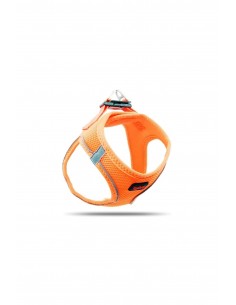 Tailpetz Köpek Göğüs Tasması Neon Turuncu l