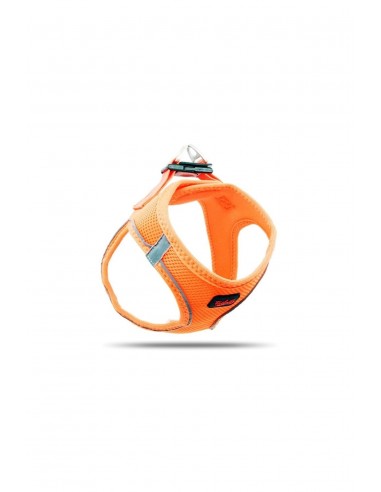 Tailpetz Köpek Göğüs Tasması Neon Turuncu l