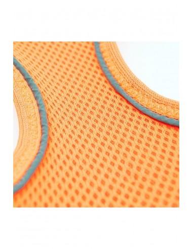 Tailpetz Köpek Göğüs Tasması Neon Turuncu s