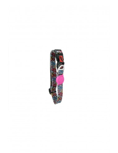Tailpetz Graffiti Köpek Boyun Tasması (Medium)