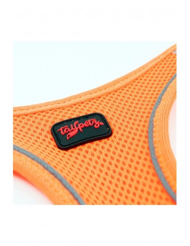 TailPetz Airmesh Neon Turuncu Köpek Göğüs...