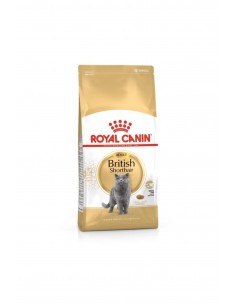Royal Canin British Shorthair 2 Kg Yetişkin Kuru Kedi Maması