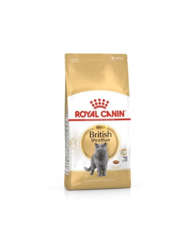 Royal Canin British Shorthair 2 Kg Yetişkin Kuru Kedi Maması
