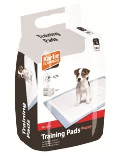 Flamingo Çiş Eğitim Pedi Small 10'Lu 45X35cm