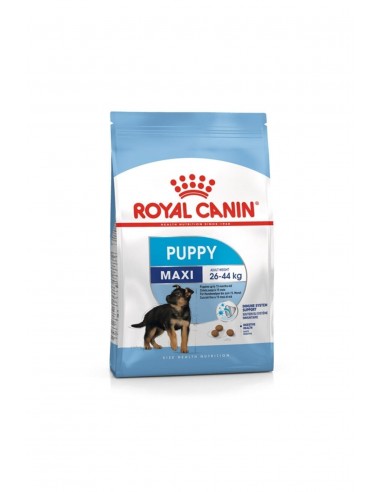 Royal Canin Maxi Puppy Büyük Irk Yavru Köpek Maması 15 kg