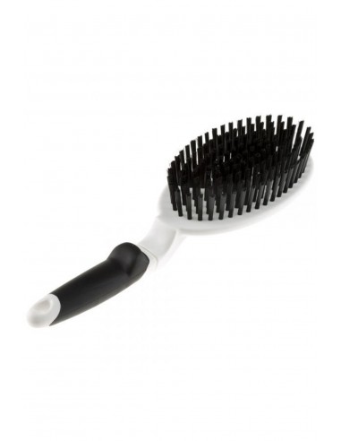 Ferplast 5760 Kedi Ve Köpek Tarama Fırçası Large