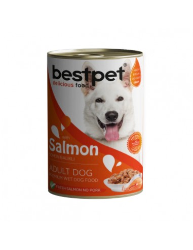 BestPet Somon Balıklı Yetişkin Köpek Konservesi...