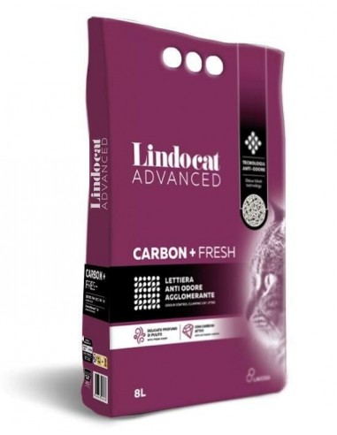 Lindo Cat Carbon Fresh Kedi Kumu 8L