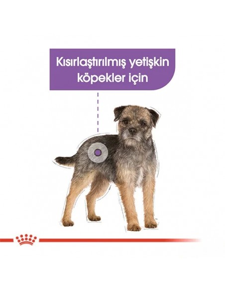 Royal Canin Sterilised Kısır Köpek Konservesi 85 gr