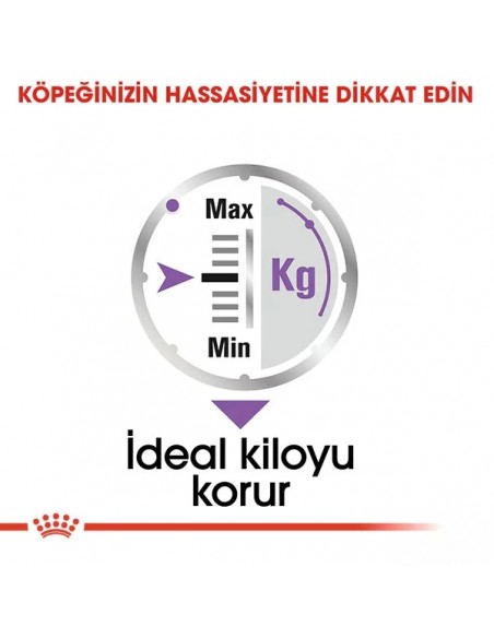 Royal Canin Sterilised Kısır Köpek Konservesi 85 gr