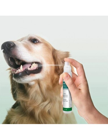 Vet’s Best Advanced Naneli ve Aloe Veralı Köpek...