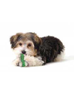 Petstages Crunchcore Bone Dog Chew Toy Köpek Oyuncağı -...