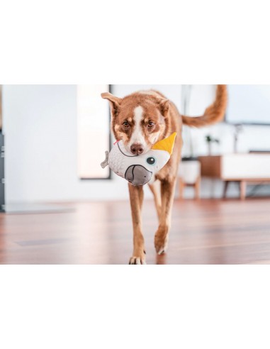 RedDingo Dayanıklı Yumuşak Köpek Oyuncağı -...