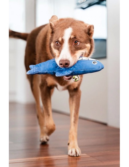 RedDingo Dayanıklı Yumuşak Köpek Oyuncağı - Köpekbalığı