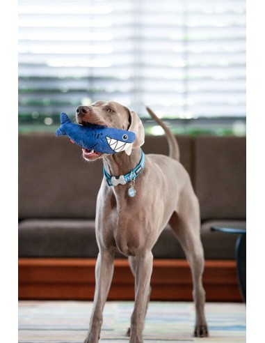 RedDingo Dayanıklı Yumuşak Köpek Oyuncağı -...