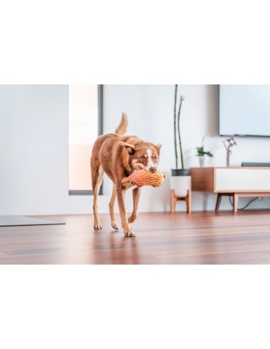 RedDingo Dayanıklı Yumuşak Köpek Oyuncağı - Kirpi