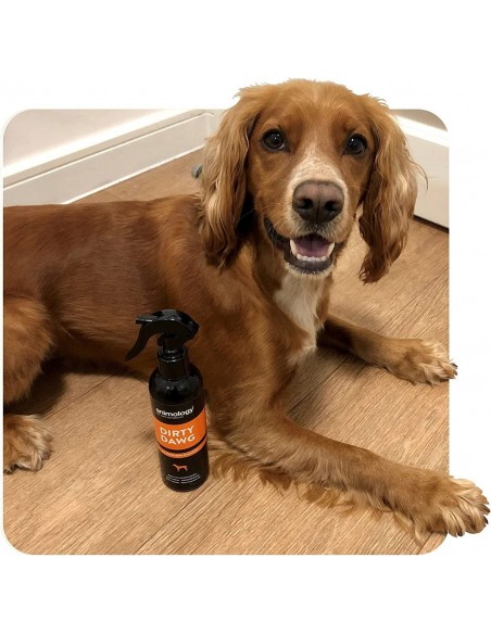 Animology Dirty Dawg Durulanmayan Kuru Şampuan