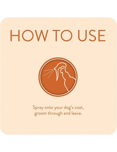 Animology Dirty Dawg Durulanmayan Kuru Şampuan