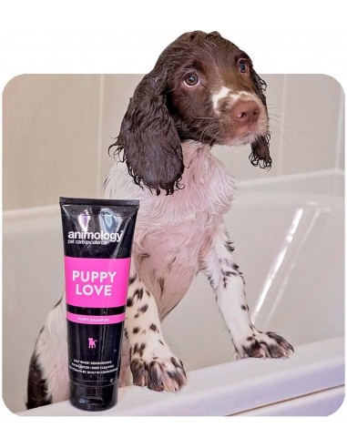Animology Puppy Love Shampoo Yavru Köpek Şampuanı
