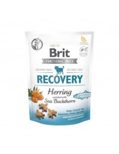 Brit Recovery Ringa Balıklı Köpek Ödülü 150gr