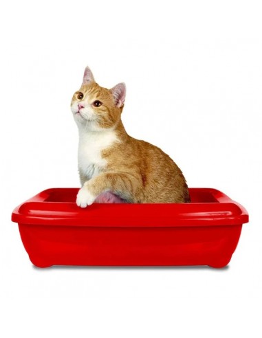 Simple Solution Kedi Kumu Koku Giderici 600Gr