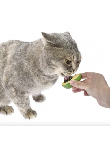 Keypet Catnipli İnteraktif Avakado Kedi Oyuncağı