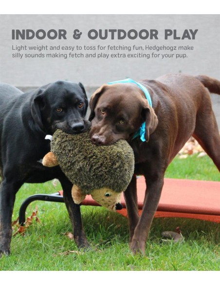 Petstages Hedgehogz Dog Toy Kirpi Köpek Oyuncağı - Small