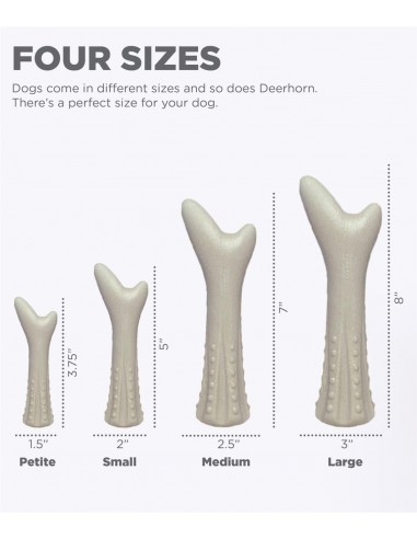 Petstages Geyik Boynuzu Köpek Çiğneme Oyuncağı...