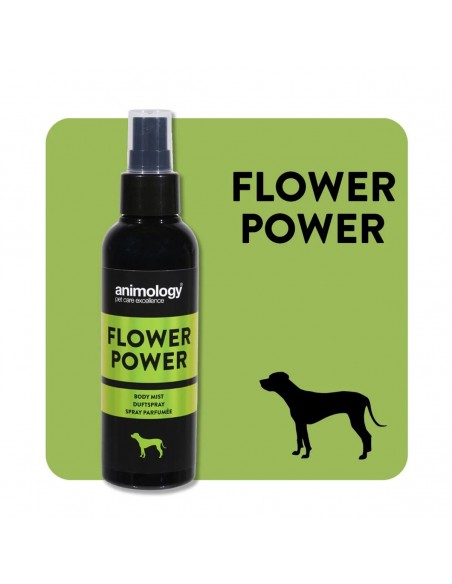 Animology Flower Power Gül ve Yasemin Kokulu Köpek Vücut Spreyi