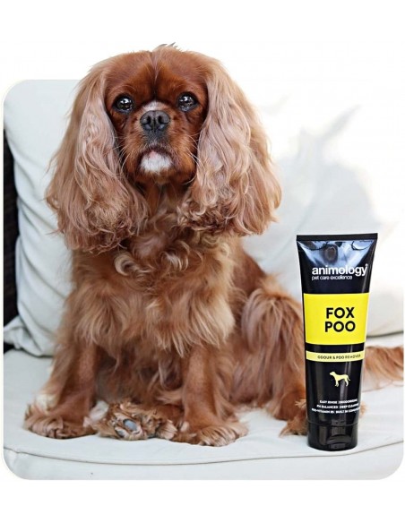 Animology Fox Poo Kötü Koku Giderici Köpek Şampuanı