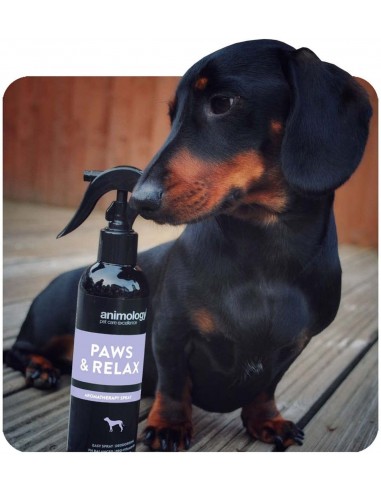 Animology Paws Relax Rahatlatıcı Köpek Tüy...