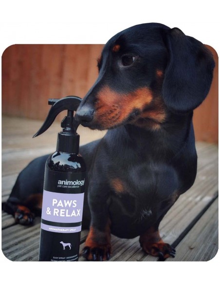 Animology Paws Relax Rahatlatıcı Köpek Tüy Bakım Spreyi