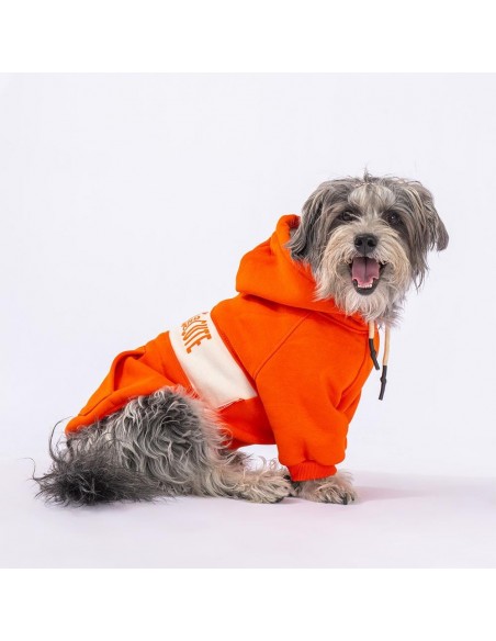 Pawstar Orange Cute Turuncu Kapşonlu Köpek Sweatshirt XL