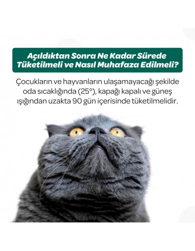 Vet's Plus Dental Kedi ve Köpekler İçin Diş...