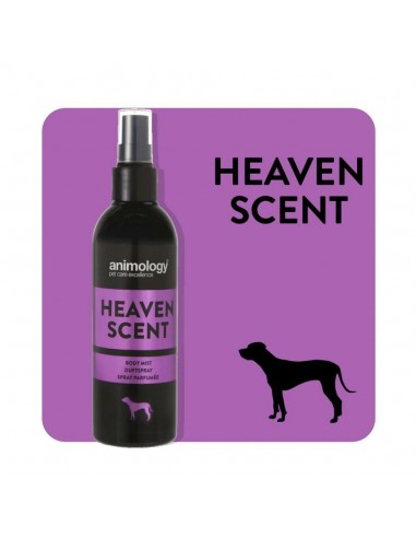 Animology Heaven Scent Mist Çiçeksi Köpek Vücut...