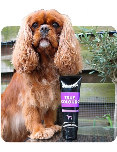 Animology True Colours Renkli Tüylü Köpekler İçin Özel Şampuan