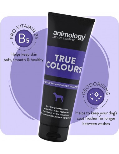 Animology True Colours Renkli Tüylü Köpekler...