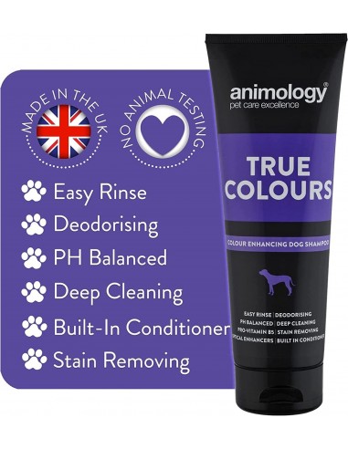 Animology True Colours Renkli Tüylü Köpekler...