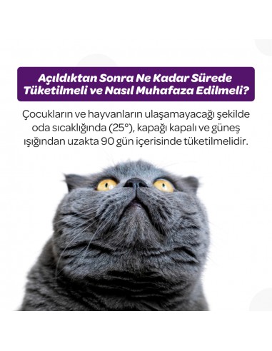 Vet's Plus Sterilised Yaban Mersinli Kısır...