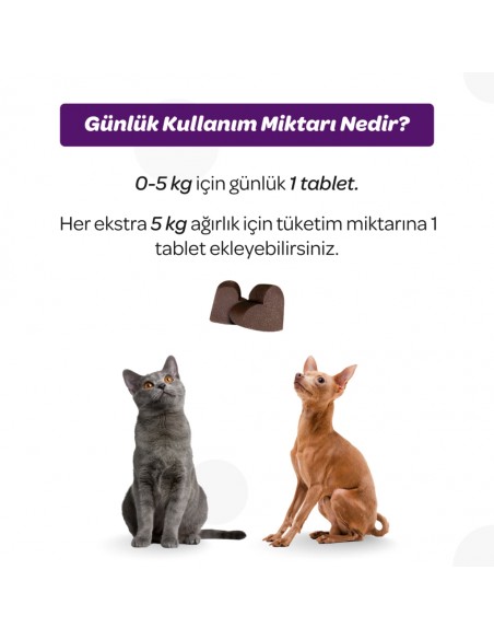 Vet's Plus Sterilised Yaban Mersinli Kısır Kediler için Urinary Destek 60'lı Çiğnenebilir Tablet