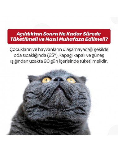 Vet's Plus Calming Kedi ve Köpekler İçin...