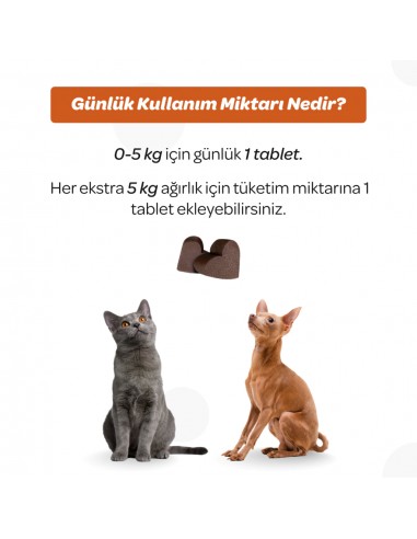Vet's Plus Immune Kedi ve Köpekler İçin...