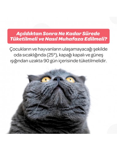Vet's Plus Senior Yaşlı Kedi ve Köpekler İçin...