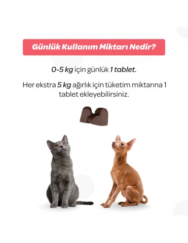 Vet's Plus Senior Yaşlı Kedi ve Köpekler İçin...