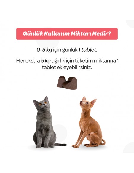 Vet's Plus Senior Yaşlı Kedi ve Köpekler İçin İnülin ve Glukozamin Çiğnenebilir Tablet (60'lı)