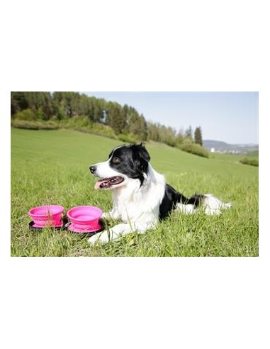 Kiwi Walker İkili Yavaş Yeme Seyahat Mama ve Su...