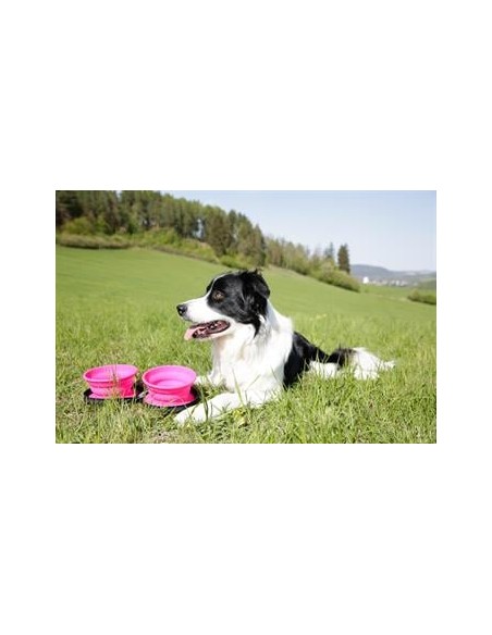 Kiwi Walker İkili Yavaş Yeme Seyahat Mama ve Su Kabı Yeşil