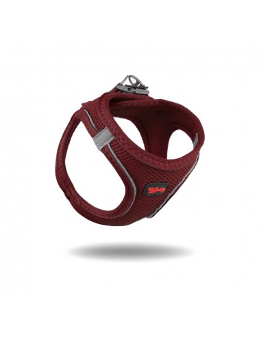 Tailpetz  Köpek Göğüs Tasması Claret L