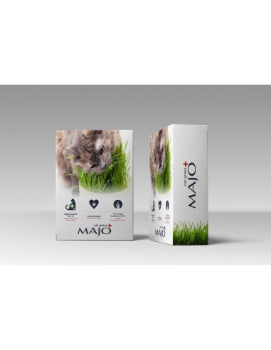 Majo Cat Grass Kedi Çimi