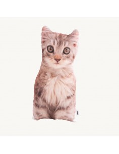 Lepus 3 Boyutlu Kedi Yastığı No 7 40x25 Cm